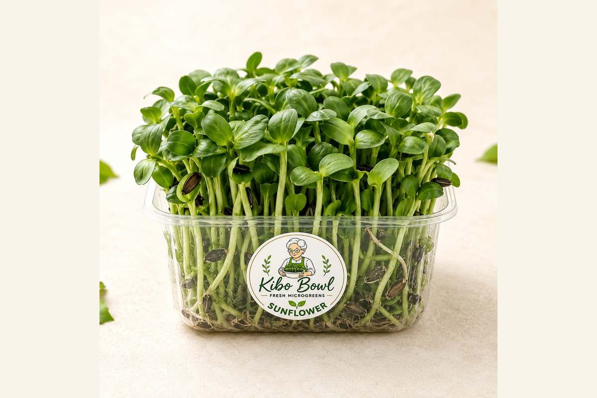 Harvesting fresh microgreens from a living tray
